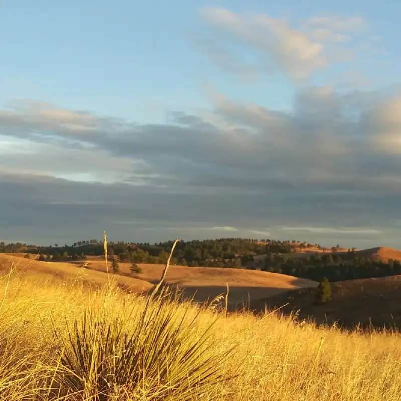 Prairies