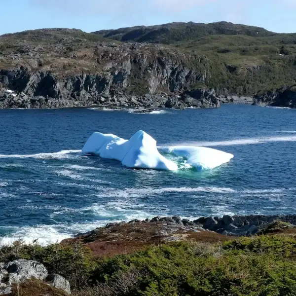 Twillingate